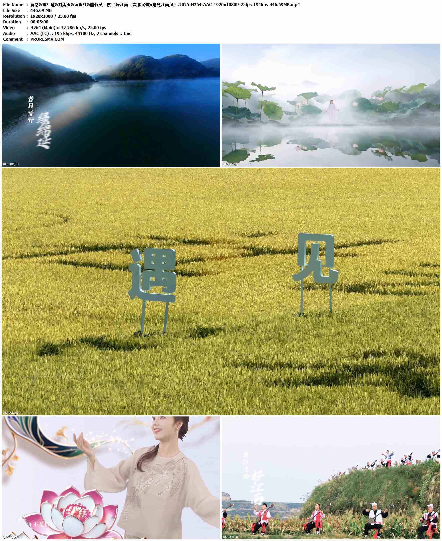 黄龄&谢江慧&刘美玉&冯晓红&熊竹英 - 陕北好江南（陕北民歌•遇见江南风）.2025-H264-AAC-1920x1080P-25fps-194kbs-446.69MB官方MV_高清MV